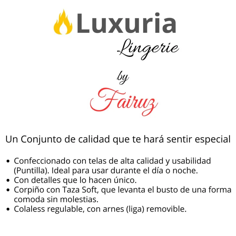 Conjunto Lenceria Taza Soft y Push Up + Arnes Portaligas (art 5108) 85 al 100